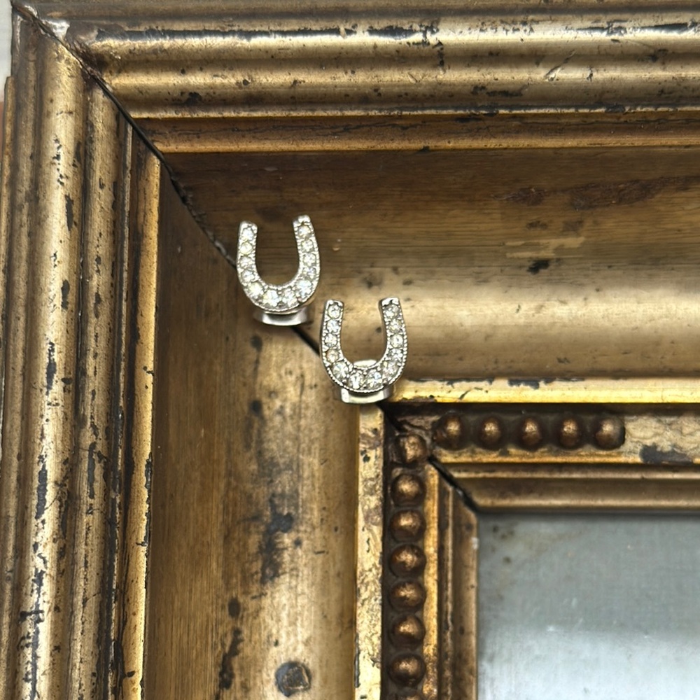 Vintage Montana Silversmiths Stuck on Luck Horseshoe Earrings